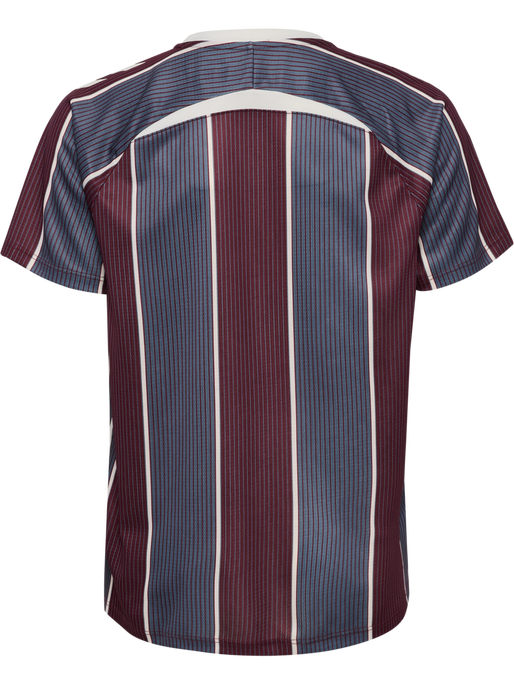 DBU WOMAN 25 PRE GAME JERSEY S/S KI, MULTI COLOUR, packshot