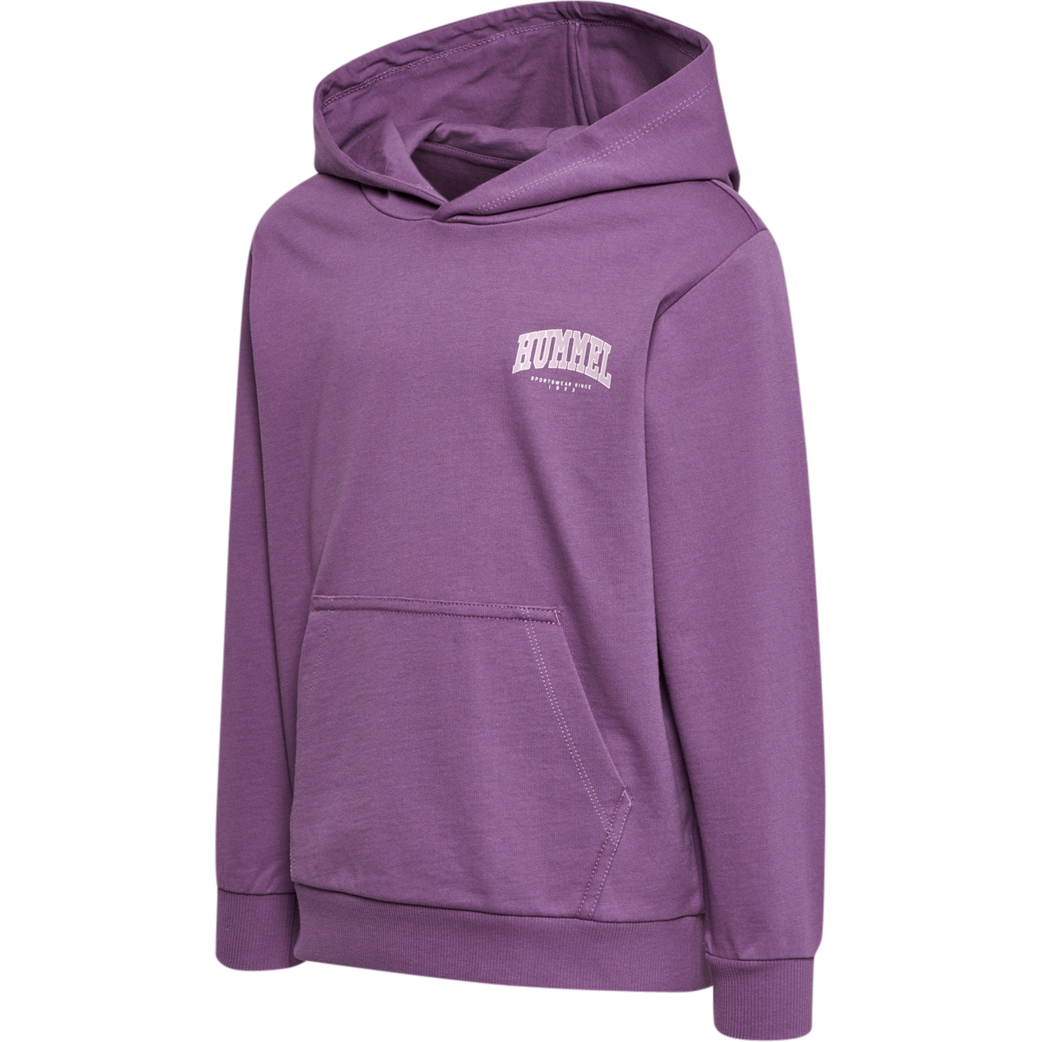 hmlFAST HOODIE, ARGYLE PURPLE, packshot