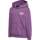 ARGYLE PURPLE