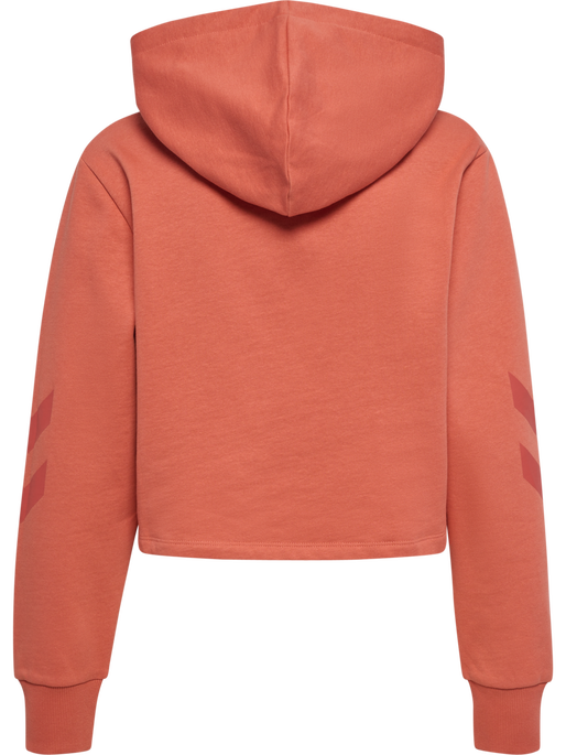hmlLEGACY WOMAN CROPPED HOODIE, APRICOT BRANDY, packshot