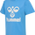 LICHEN BLUE