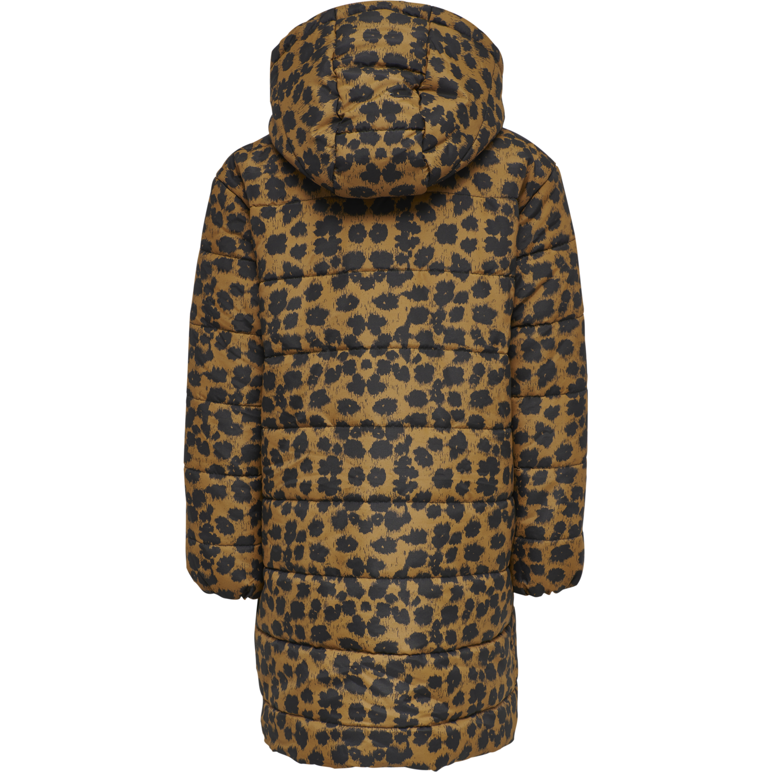 hmlBERLIN JACKET, 8020, packshot