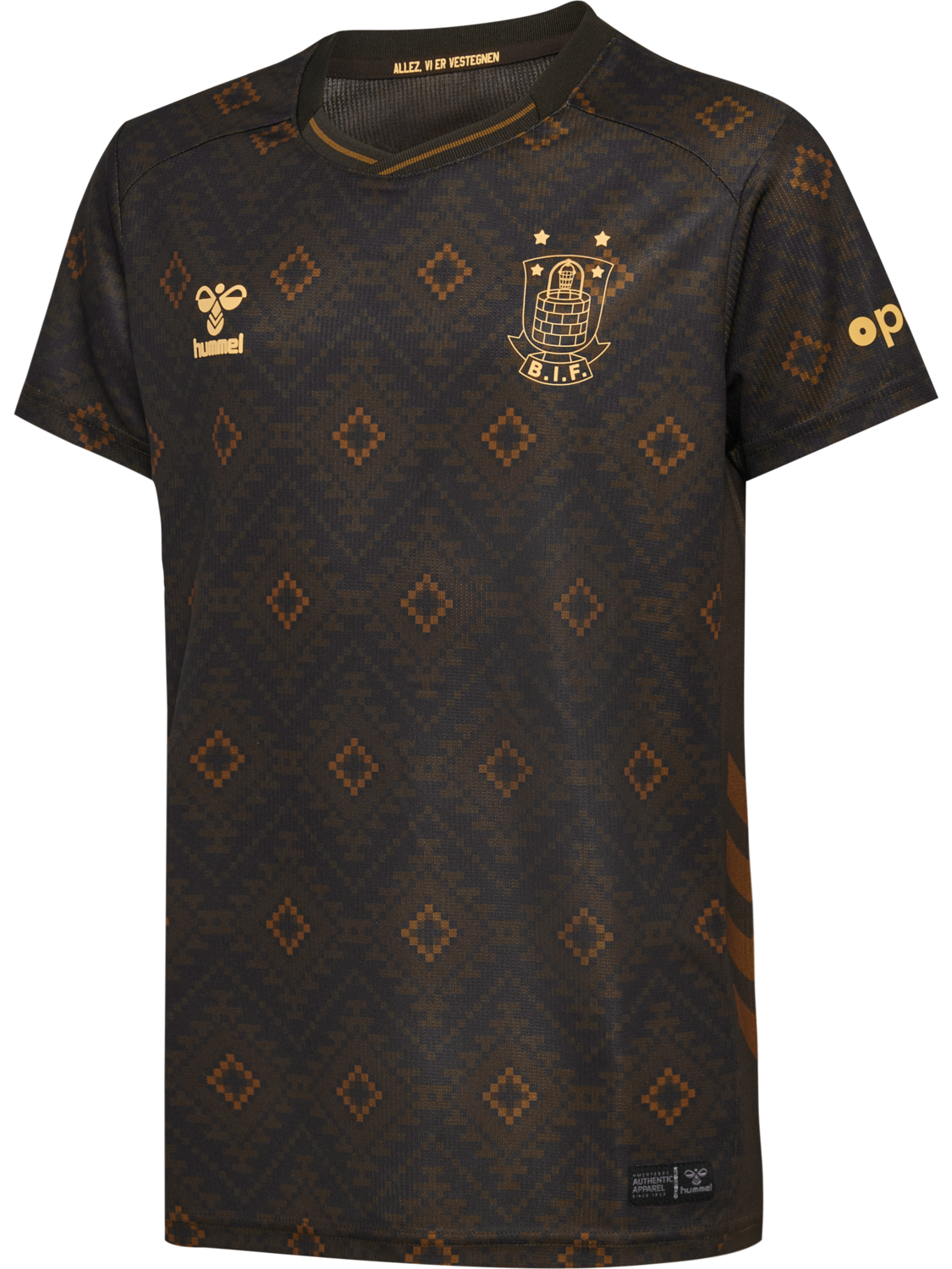 BIF 25/26 THIRD JERSEY S/S KIDS, BROWN, packshot