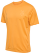 BLAZING ORANGE