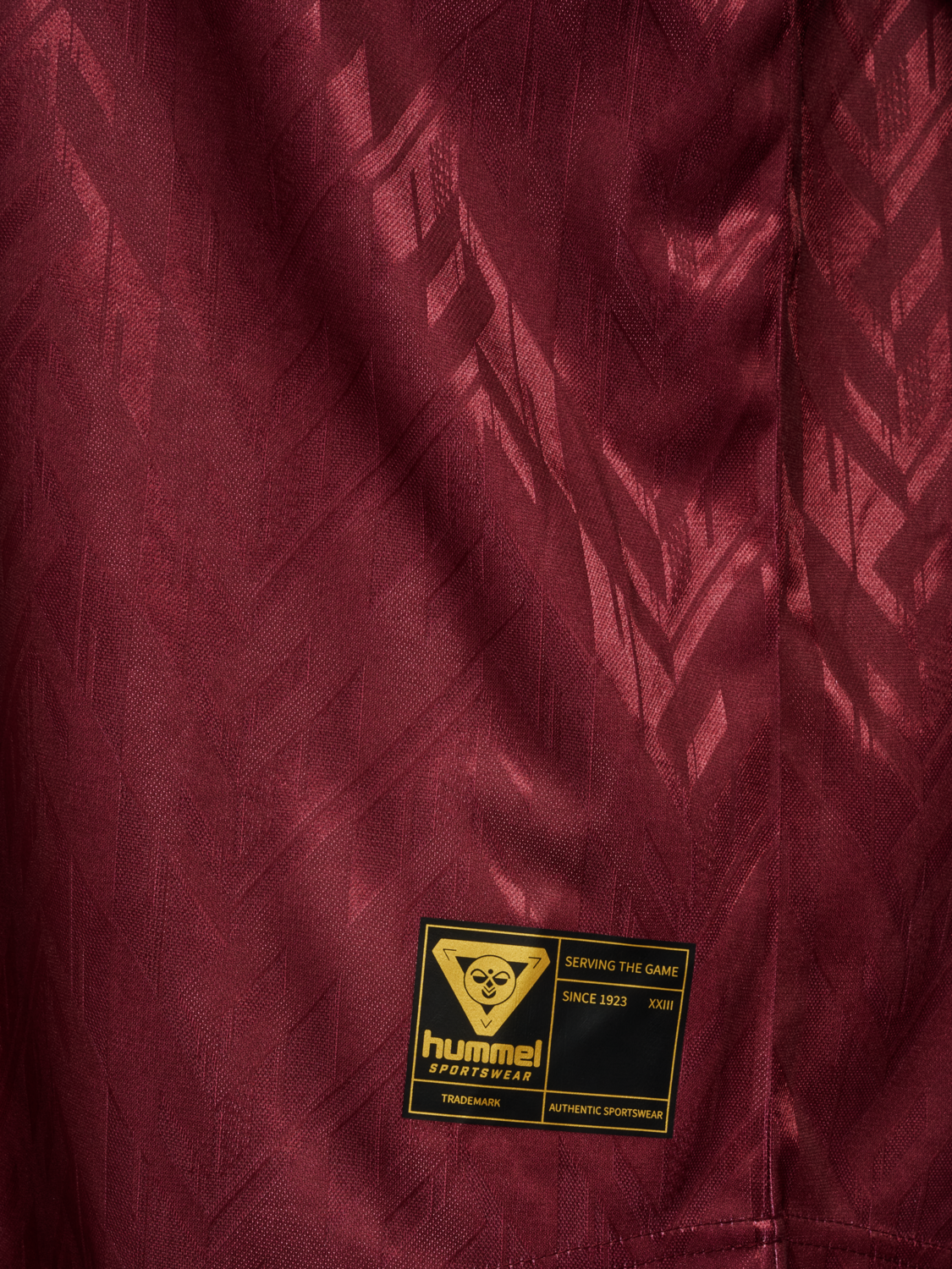 hmlLOOSE BAY SOCCER JERSEY L/S, SYRAH, packshot