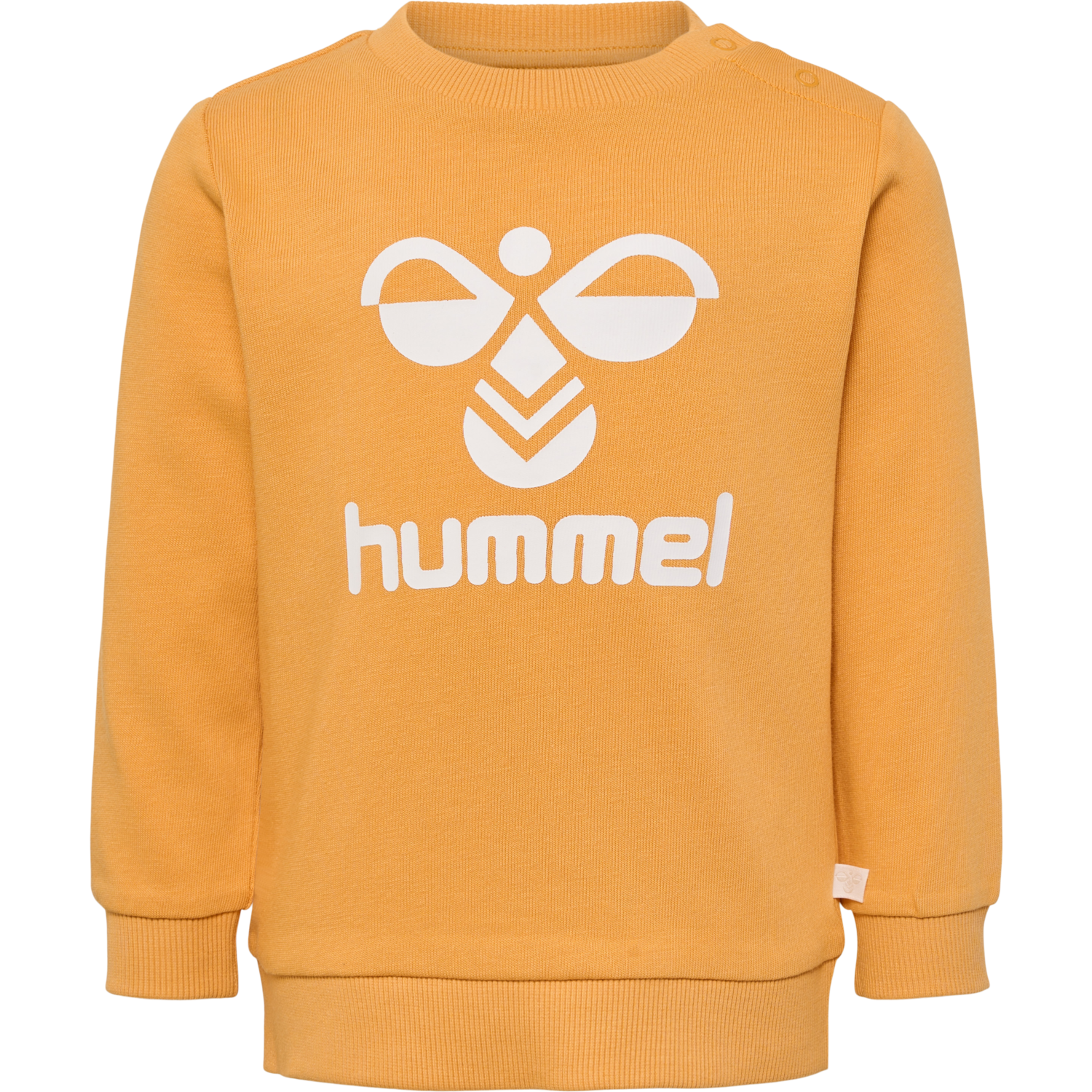 hmlARINE CREWSUIT, BUTTERSCOTCH, packshot