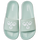 SILT GREEN