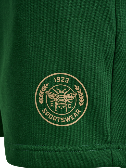 hmlSWARM SHORTS, EDEN, packshot