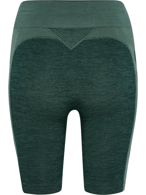 hmlCLEA SEAMLESS CYCLING SHORTS, GREEN GABLES/GARDEN TOPIARY ME, packshot