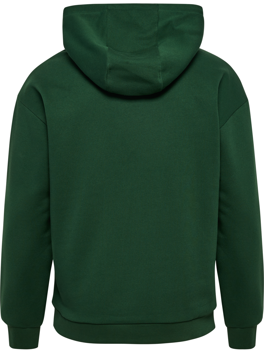 hmlLOOSE HOODIE BEE, EDEN, packshot