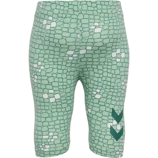hmlZANZI TIGHTS CAPRI, SILT GREEN, packshot