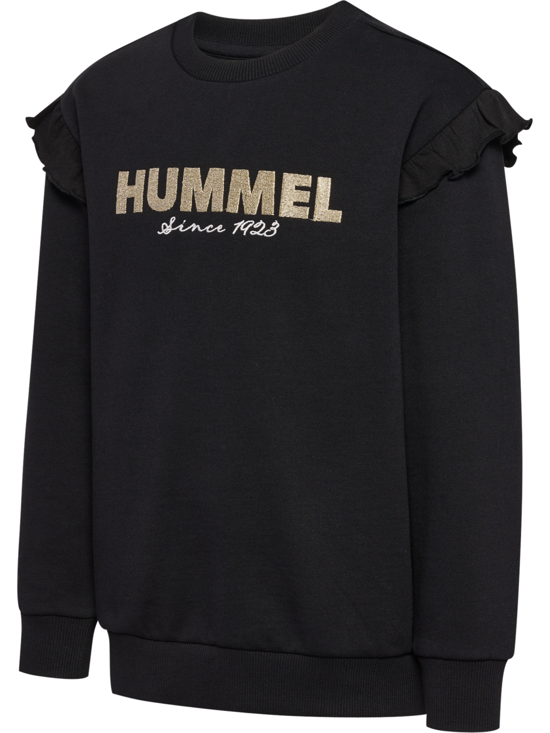 hmlDIDA SWEATSHIRT, 2001, packshot
