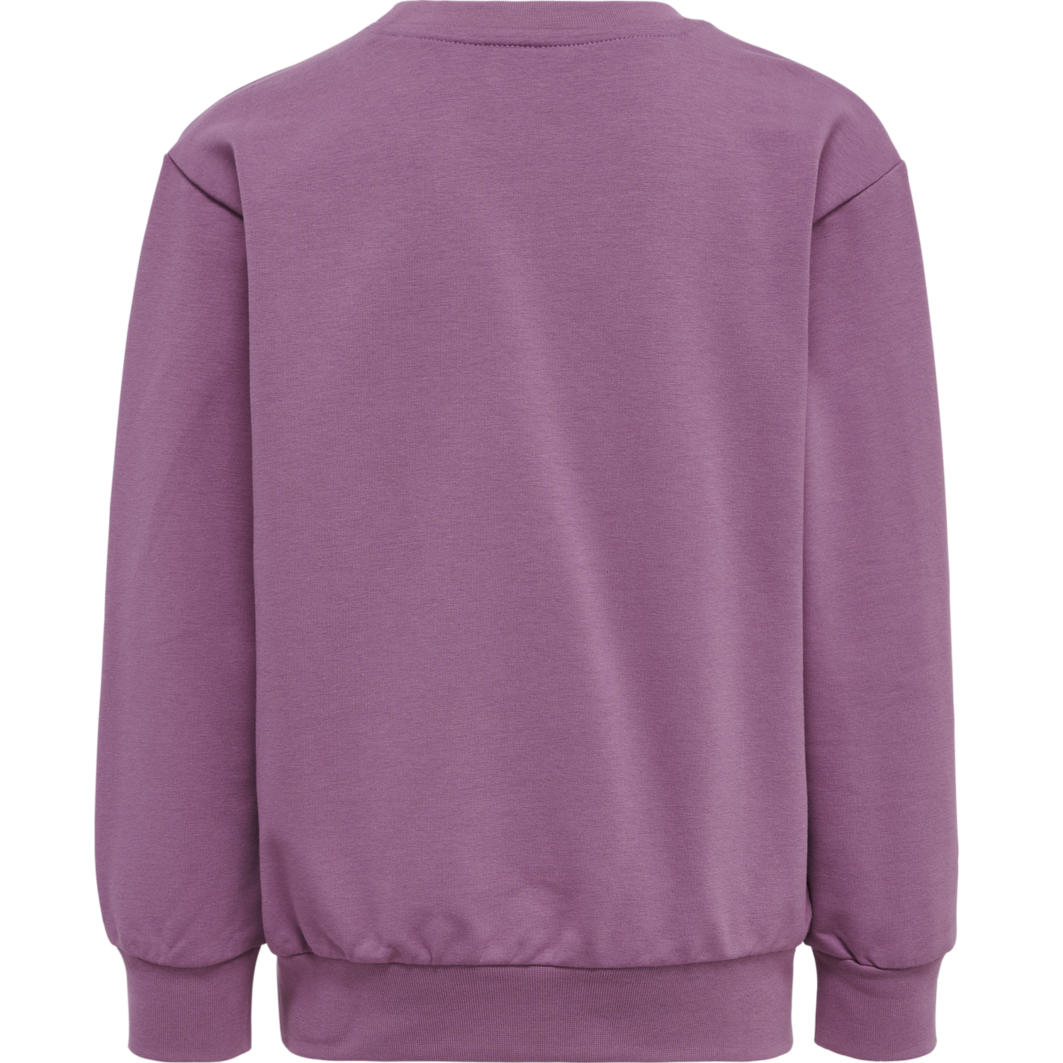 hmlBOTANY SWEATSHIRT, 3031, packshot