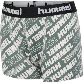 hmlNOLAN BOXERS 2-PACK, LAUREL WREATH, packshot