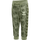 OIL GREEN