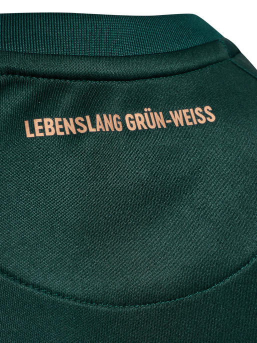 WER 25/26 3RD JERSEY S/S KIDS, SCARAB, packshot