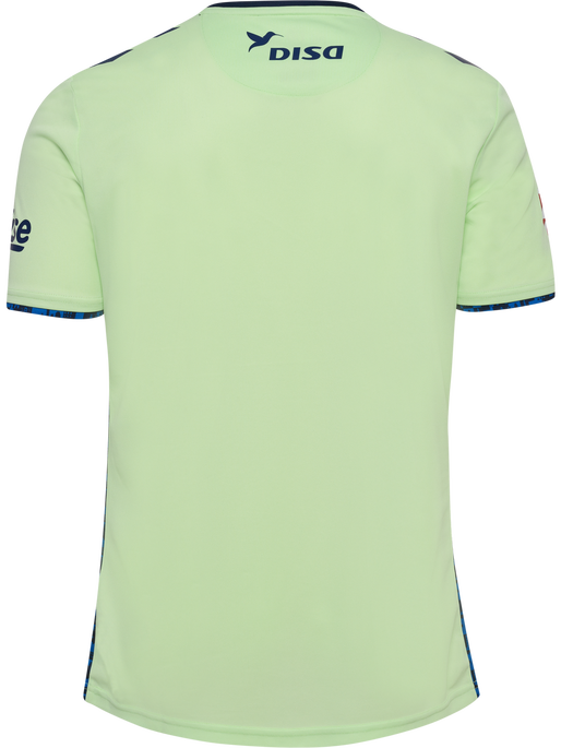 UDLP 24/25 COMMUNITY JERSEY SS, PATINA GREEN, packshot
