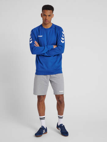 HMLGO COTTON SWEATSHIRT, TRUE BLUE, model