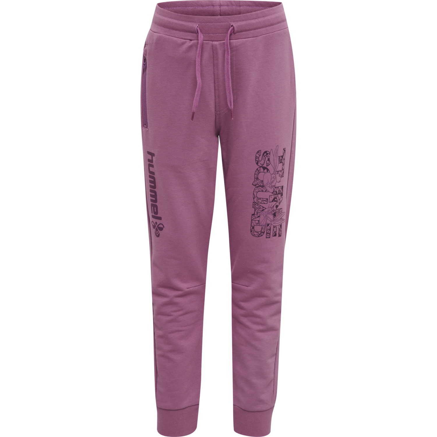 hmlSPACE JAM ON PANTS, BORDEAUX, packshot