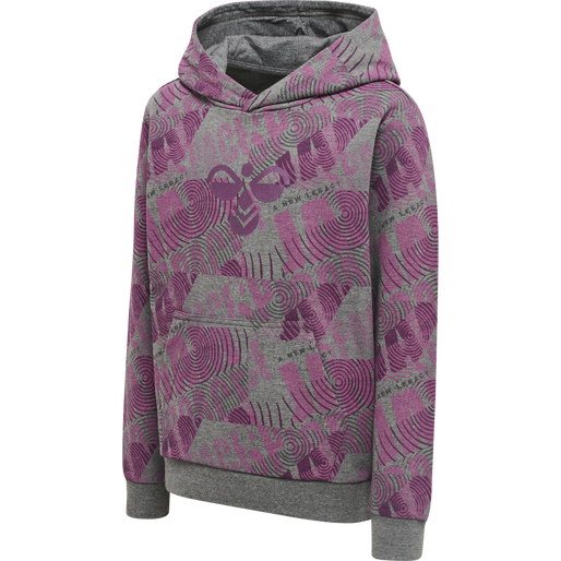 hmlSPACE JAM CUATRO HOODIE, AMARANTH, packshot