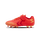 BITTERSWEET
