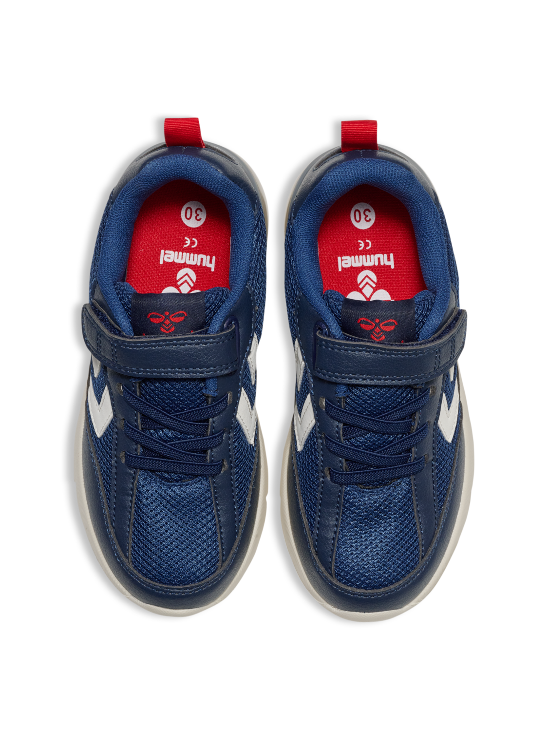 DAYLIGHT JR, BLACK IRIS, packshot