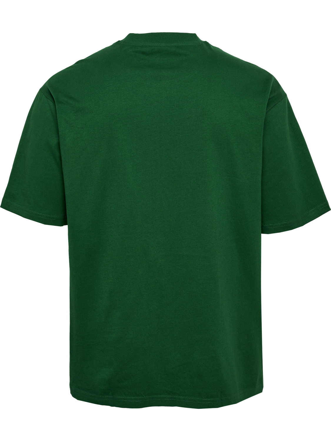 hmlSWARM LOOSE T-SHIRT, EDEN, packshot