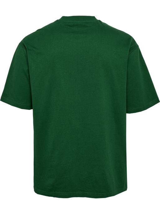 hmlSWARM LOOSE T-SHIRT, EDEN, packshot