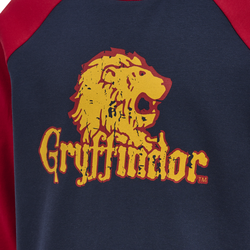 hmlHARRY POTTER BOYS T-SHIRT L/S, SCARLET SAGE hmlHARRY POTTER BOYS T-SHIRT L/S, SCARLET SAGE, packshot