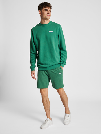 hmlLGC GABE SWEATSHORTS, FOLIAGE GREEN, model