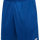 TRUE BLUE