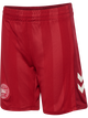 CHILI PEPPER