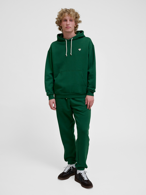 hmlLOOSE HOODIE BEE, EDEN, model