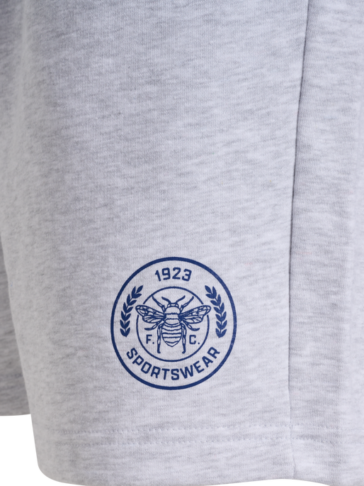 hmlSWARM SHORTS, LIGHT GREY MELANGE, packshot