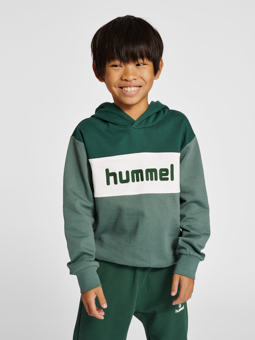 hmlMORTEN HOODIE, 6041, model