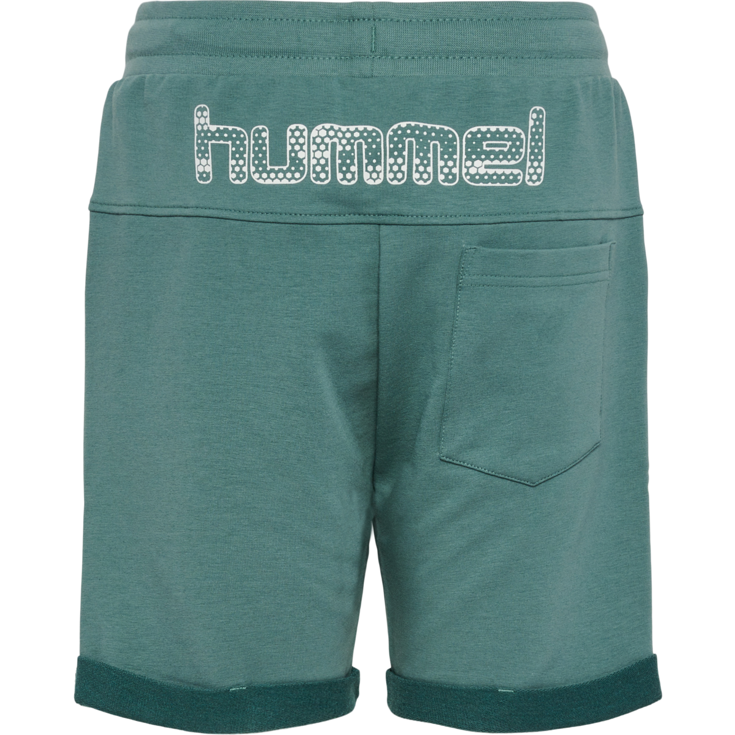 hmlFLIK SHORTS, SEA PINE, packshot