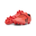 BITTERSWEET