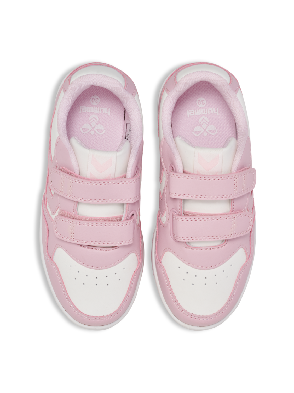 CAMDEN JR, WINSOME ORCHID, packshot