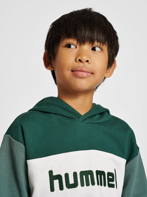 hmlMORTEN HOODIE, 6041, model