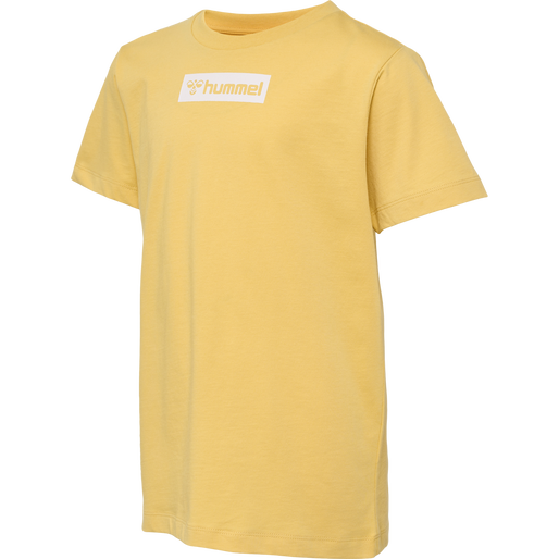 hmlFLOW T-SHIRT S/S, OCHRE, packshot