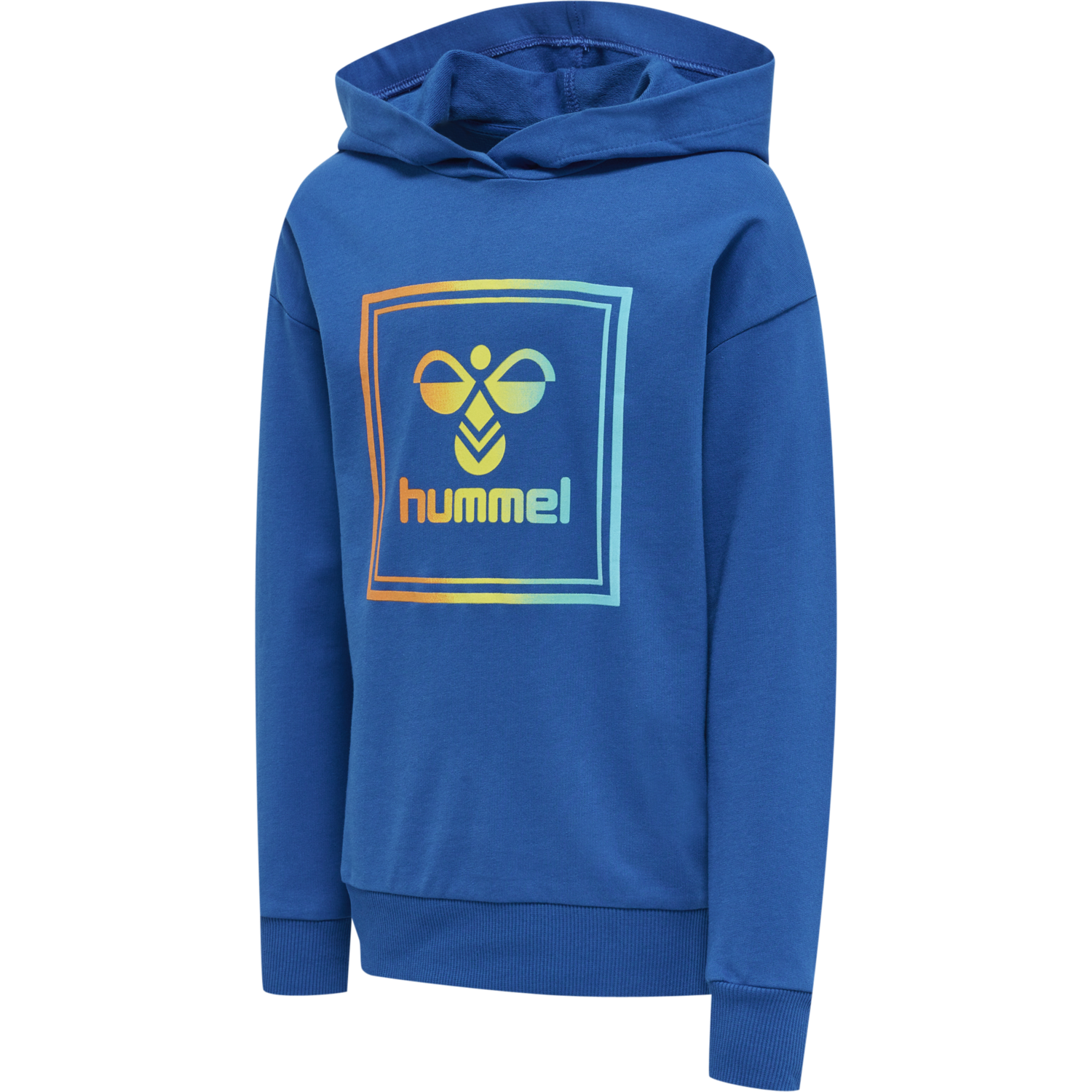 HMLLEIDEN HOODIE, 4247, packshot