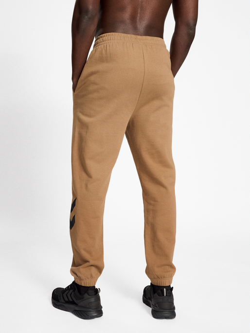 hmlLEGACY REGULAR PANTS, TIGERS EYE, model