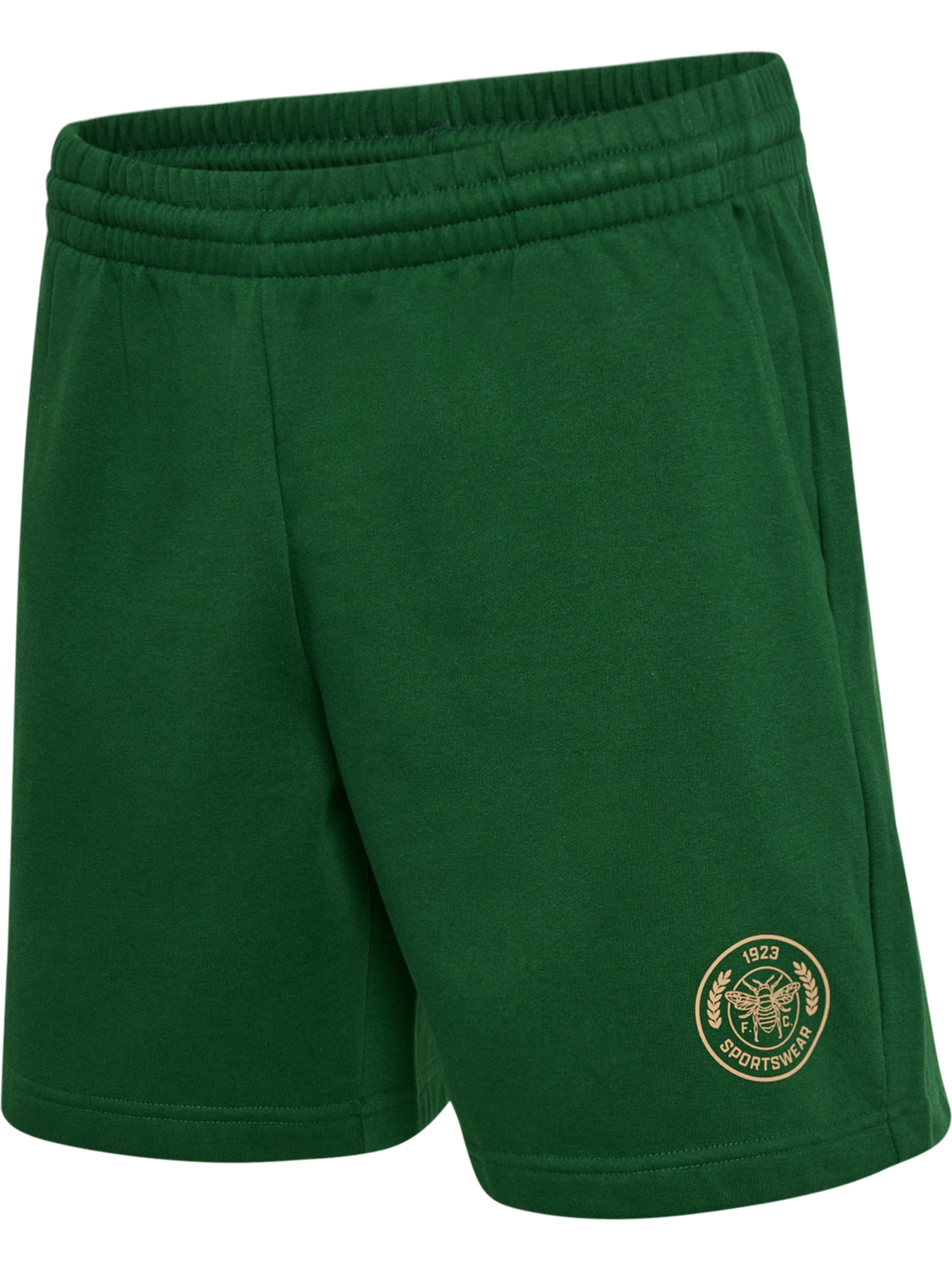 hmlSWARM SHORTS, EDEN, packshot