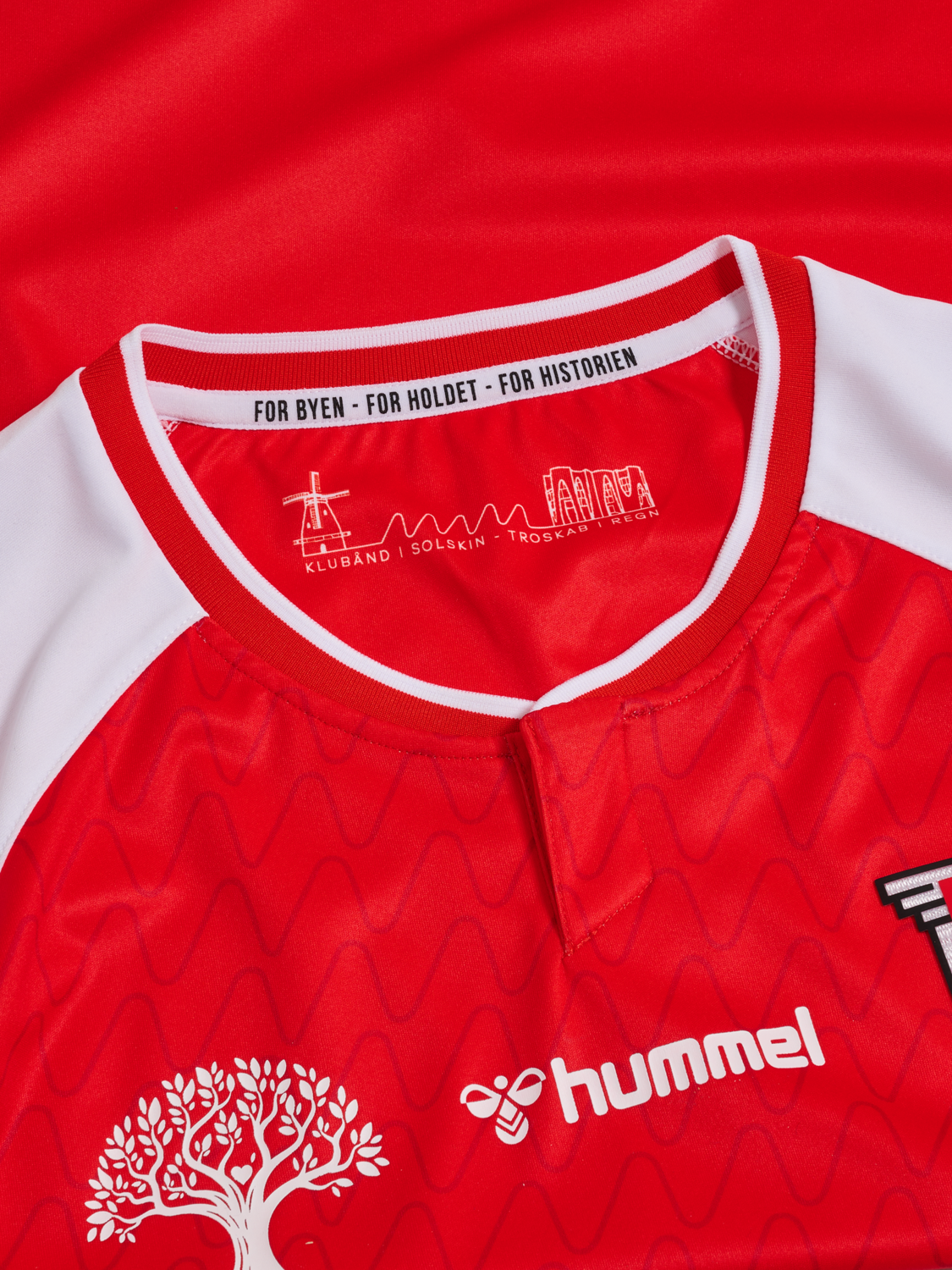 VEJLE 22/23 HOME JERSEY S/S, 3989, packshot
