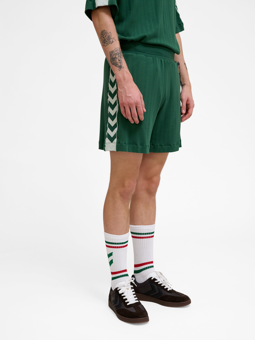 hmlARCHIVE REGULAR SHORTS, EDEN, model
