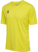 BLAZING YELLOW