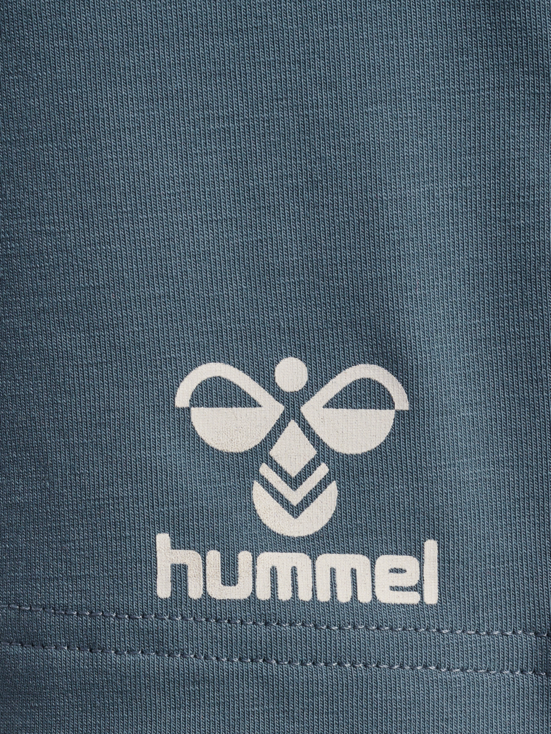 hmlHANSEN SHORTS, STORMY WEATHER, packshot