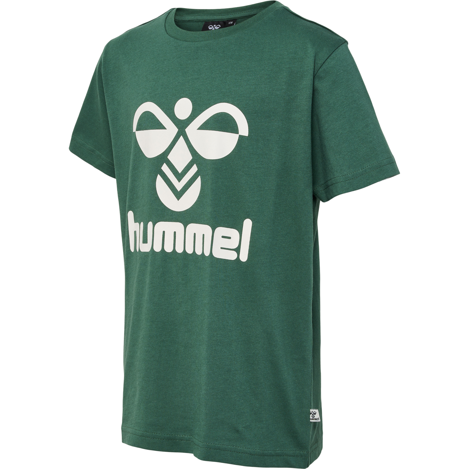 hmlTRES T-SHIRT S/S 2-PK, BUTTERSCOTCH/PINENEEDLE, packshot