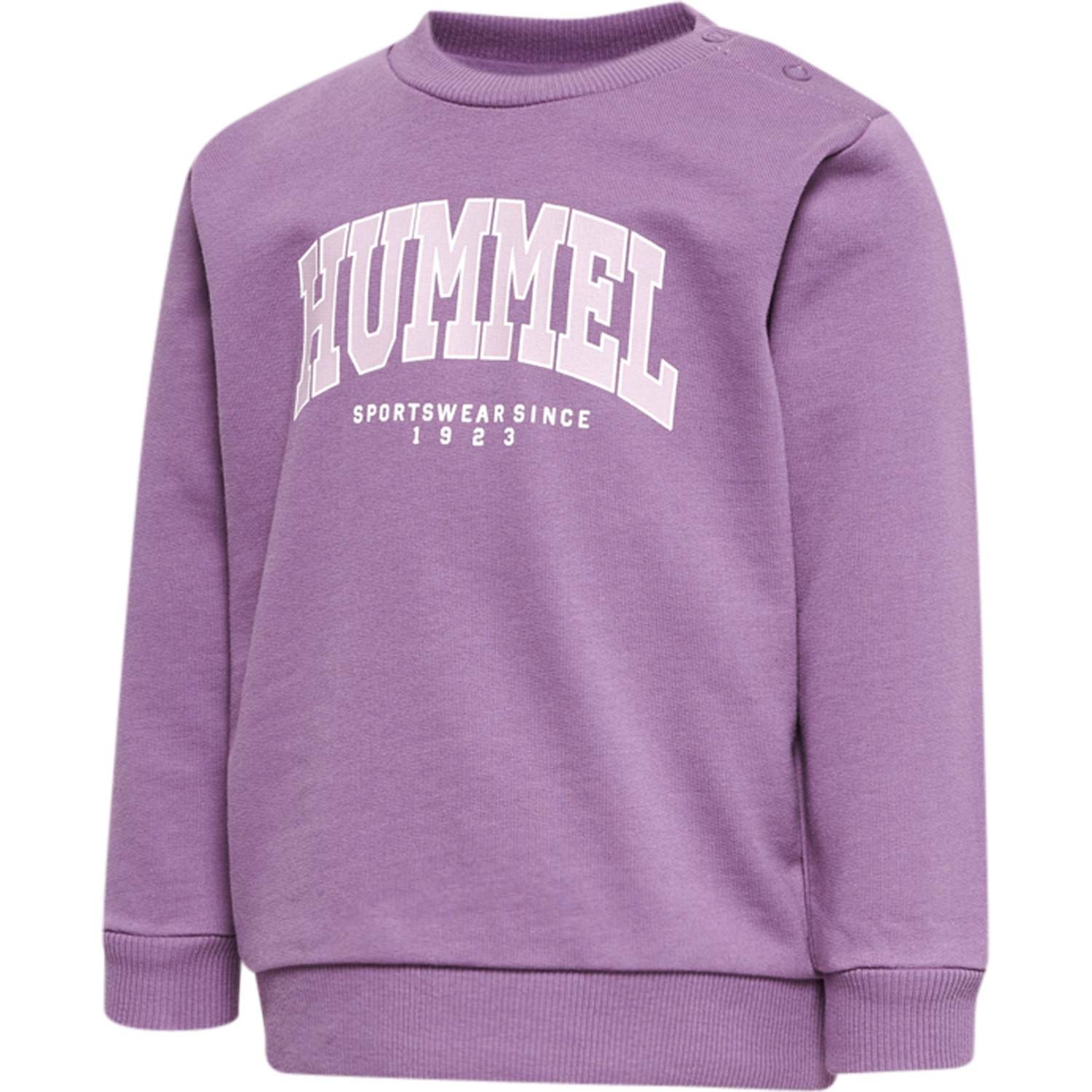 hmlFAST LIME SWEATSHIRT, ARGYLE PURPLE, packshot