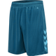 BLUE CORAL
